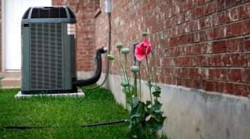 title of single post with link