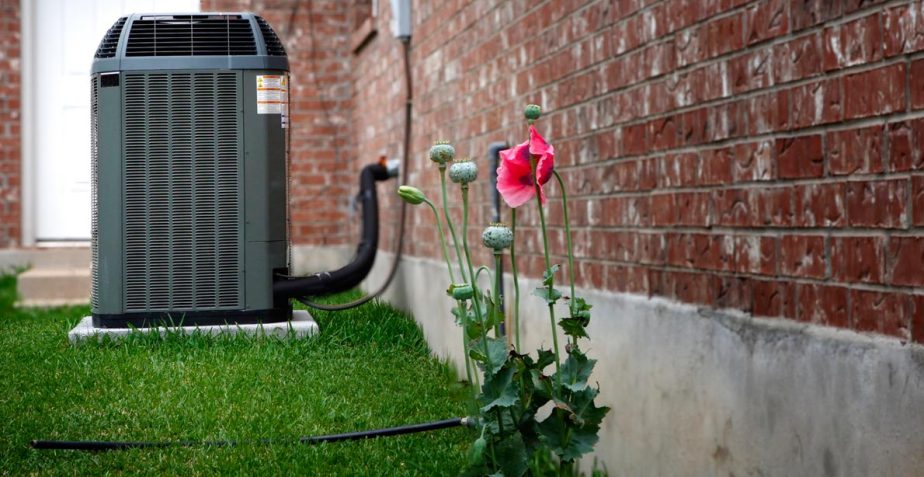 title of single post with link